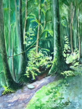 Along The Varley Trail, Lynn Headwaters Park, North Vancouver, BC. Watercolor study.