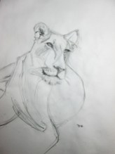 Lion Sketch#4 Pencil